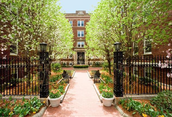 Building Photo - 1 bedroom in Cambridge MA 02138