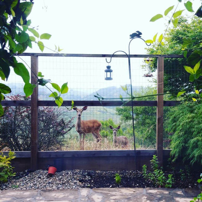 Building Photo - 20400 Summercrest Dr