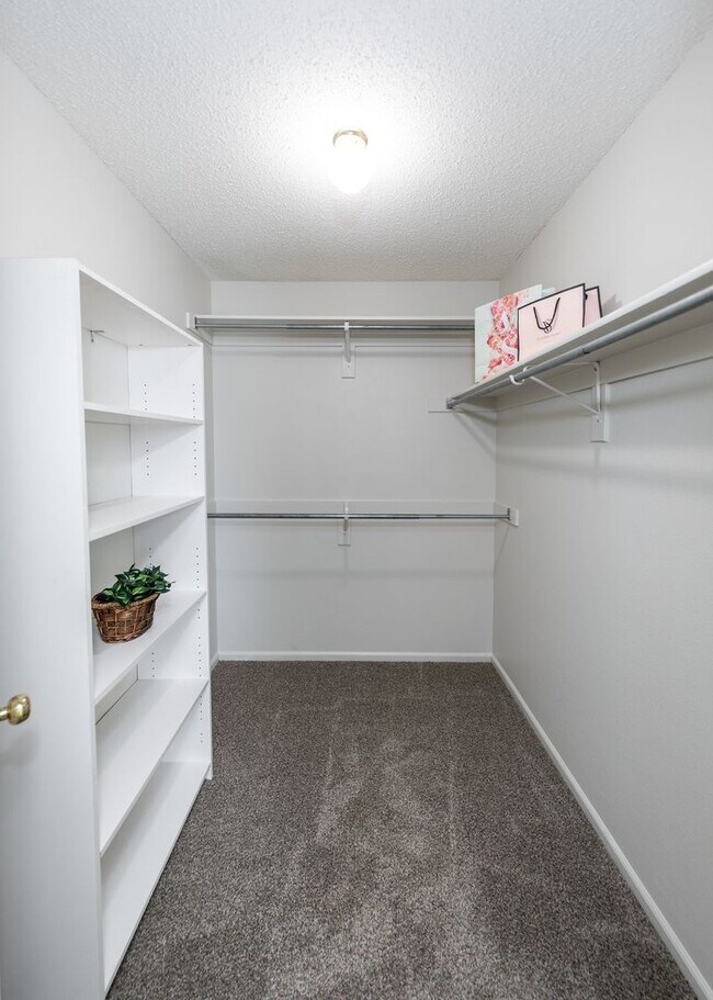 Building Photo - Newly Updated 4 Bed Home Centrally Located