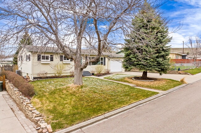 Building Photo - 1004 11th St NW