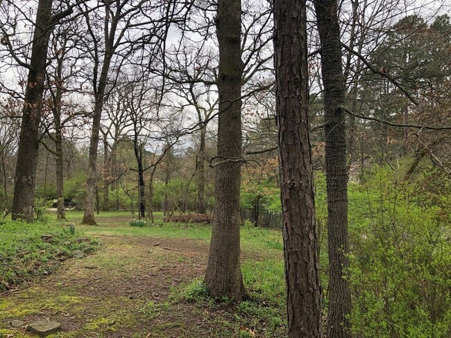Building Photo - 3 bedroom, 2 Bath House Near University of...