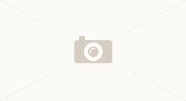 Building Photo - 4631 Jacmel Ct