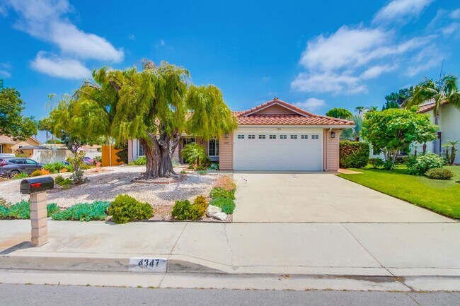 Building Photo - Single Story Oceanside Home Available July...