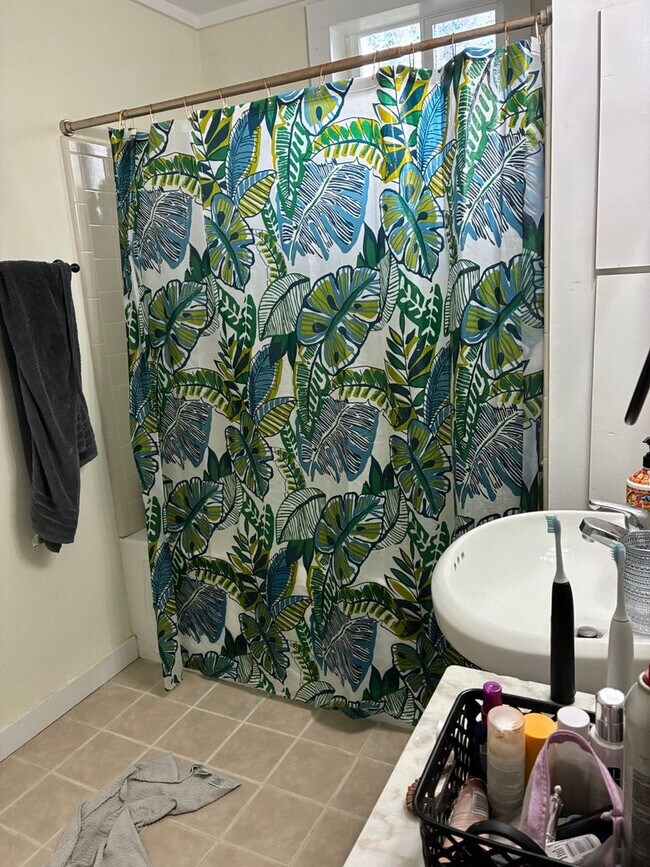 Building Photo - 3 Bedroom home near downtown and campus.