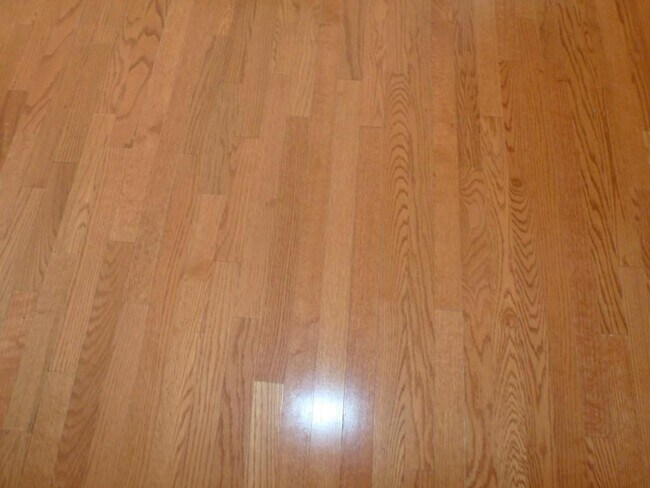 Building Photo - 3209 Buck Way