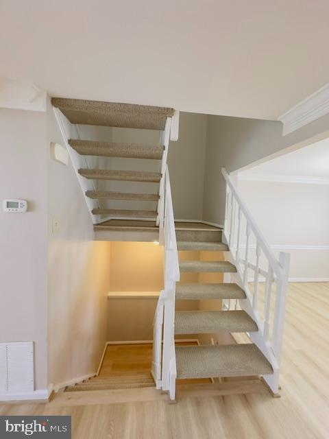 Building Photo - 3442 Belfry Ln