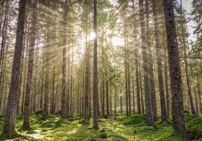 Primary Photo - 474 Marion St