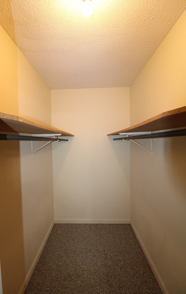 Building Photo - 60 Crowndale Ct