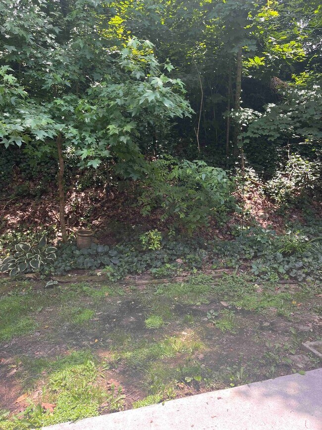 Building Photo - Knoxville 37918 - 2 bedroom, 2 bath townhome - Contact Susan Niedergeses (865)300-4722