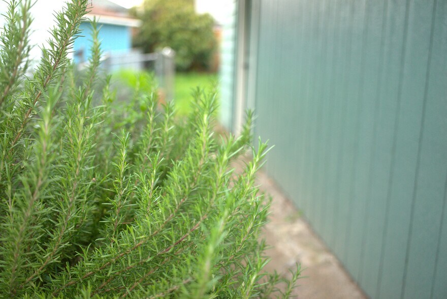 Building Photo - 4627 SE 86th Ct