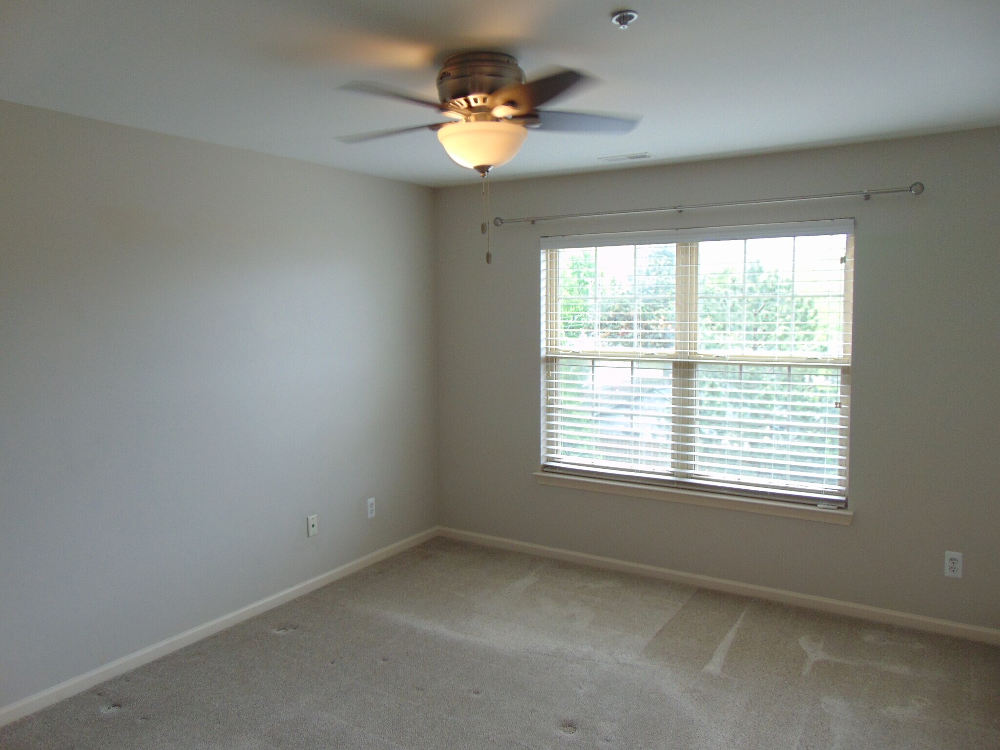 Building Photo - 129 E Bay Dr