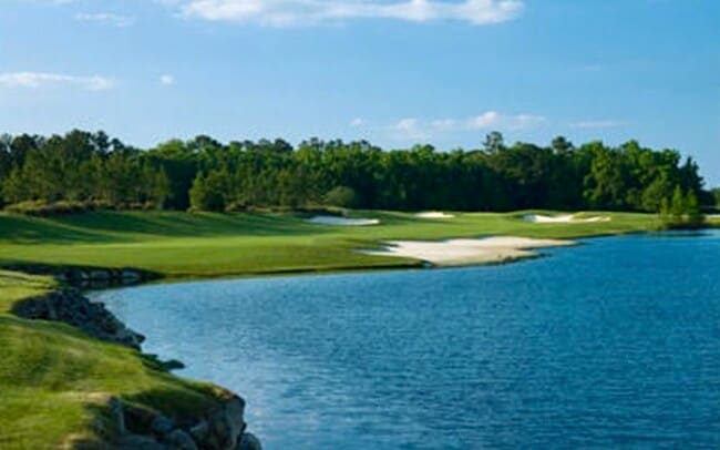 King & Bear Golf Course - 955 Registry Blvd