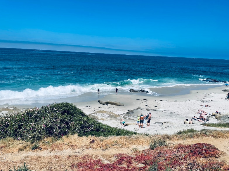 Building Photo - 9859 Gandy Ave