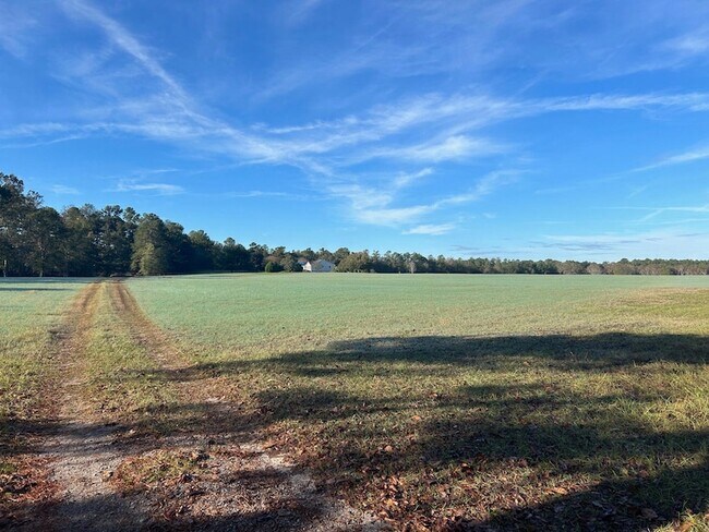 Building Photo - 1970 Gray Mare Hollow Rd