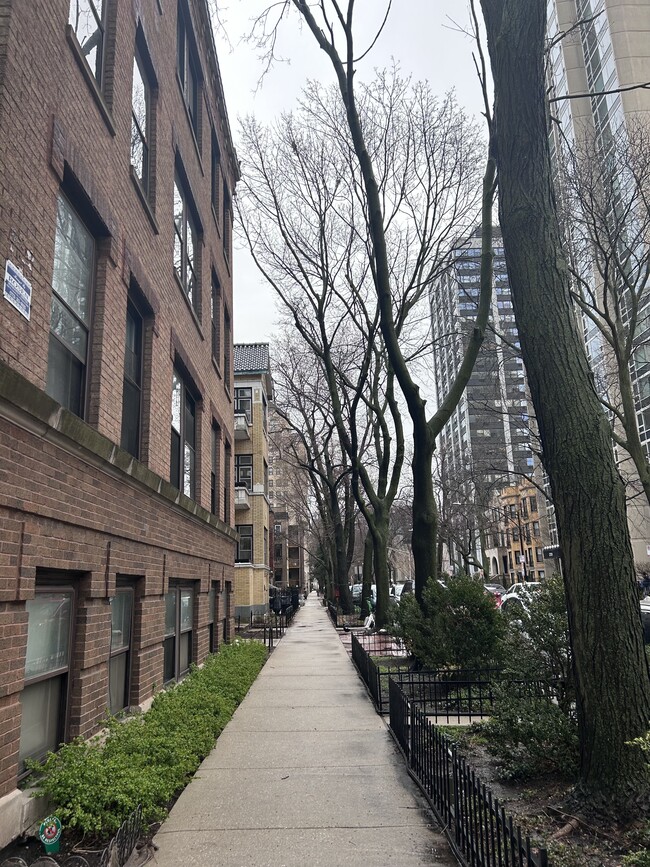 Outdoor Street - 2743 N Hampden Ct