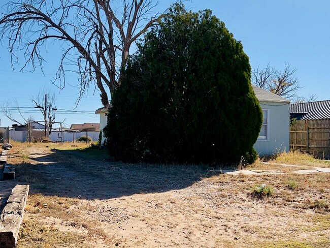Building Photo - Charming Home in Levelland