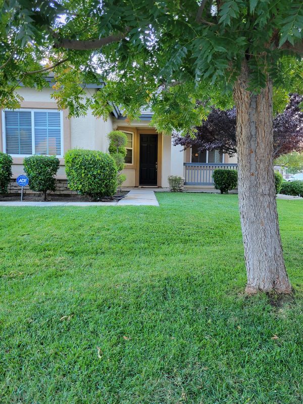 Building Photo - 2274 Purple Finch Ct