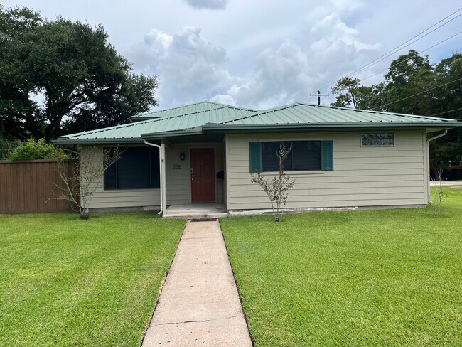 Primary Photo - 238 McLemore Dr