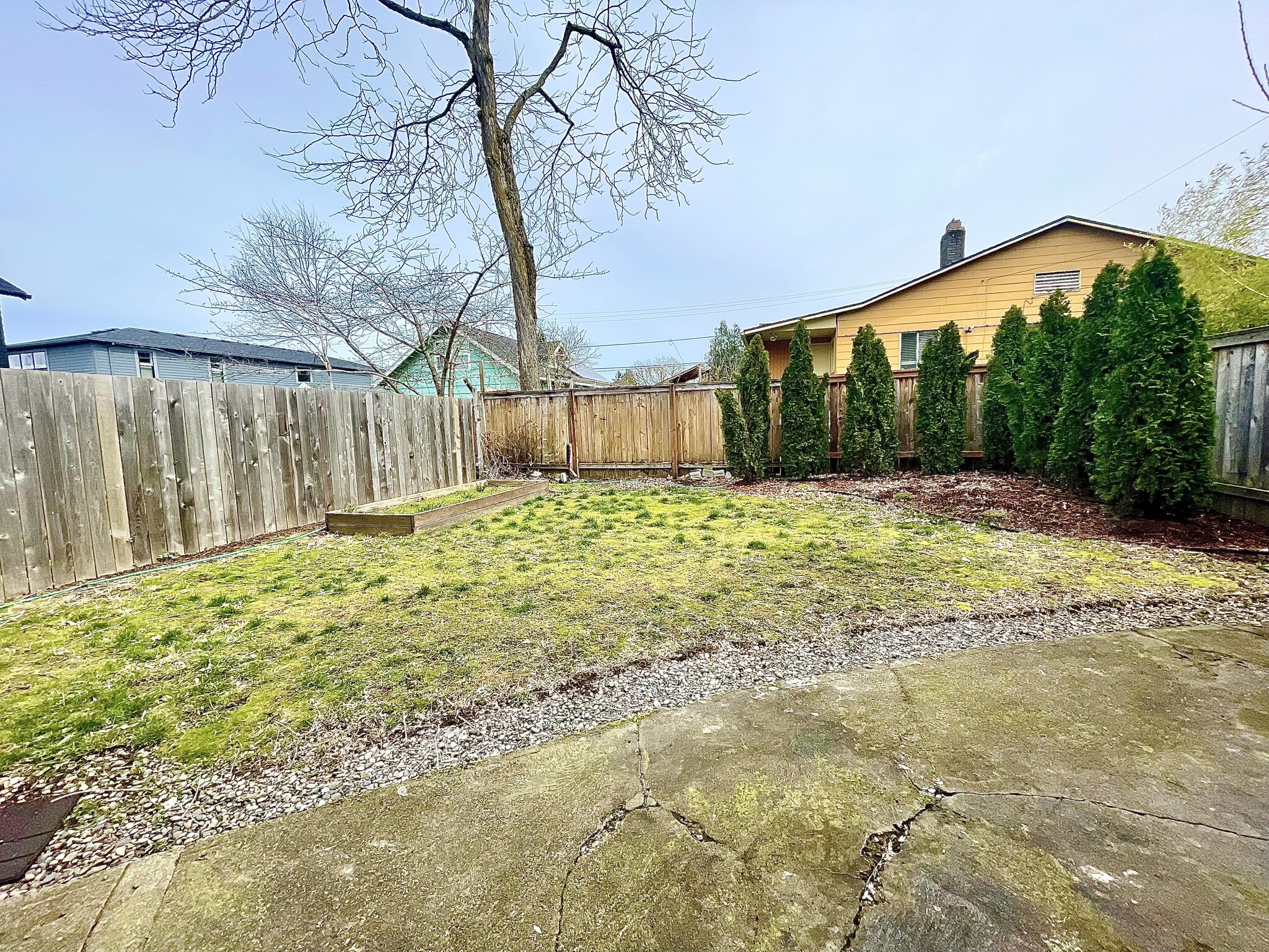 Privacy bushes in backyard - 5306 NE 15th Ave
