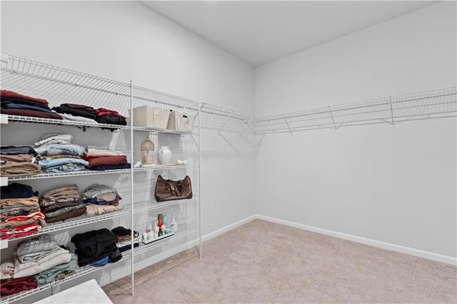 Building Photo - 4780 Mock Orange St