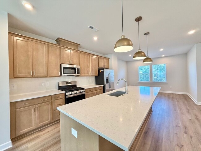Building Photo - New Construction 4BD, 3.5BA Wake Forest To...