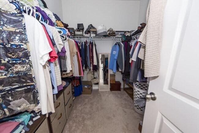 Building Photo - 4 Bedroom 2 Bath Home in French Quarter Creek - Huger