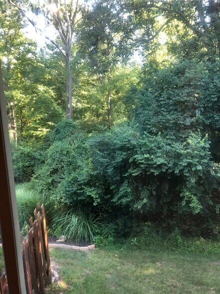 1st floor view - 11117 Jardin Pl