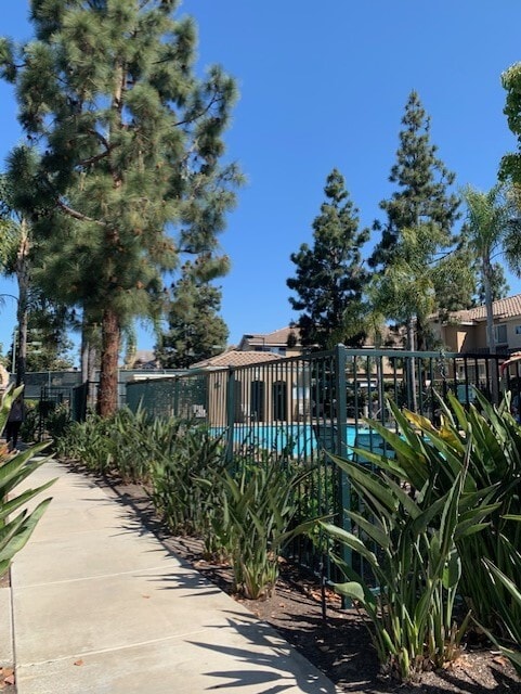 Club Area Pool, Barbecue, Tennis court - 4170 Via Candidiz