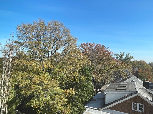 Building Photo - Cleveland Park with views