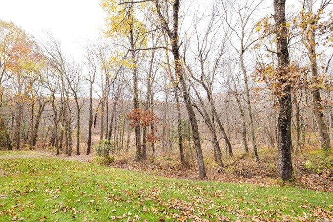 Building Photo - 18 Clifford Ave