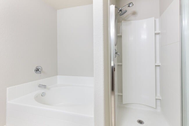 Building Photo - Luckey Ranch Single Story 3 bedroom with d...