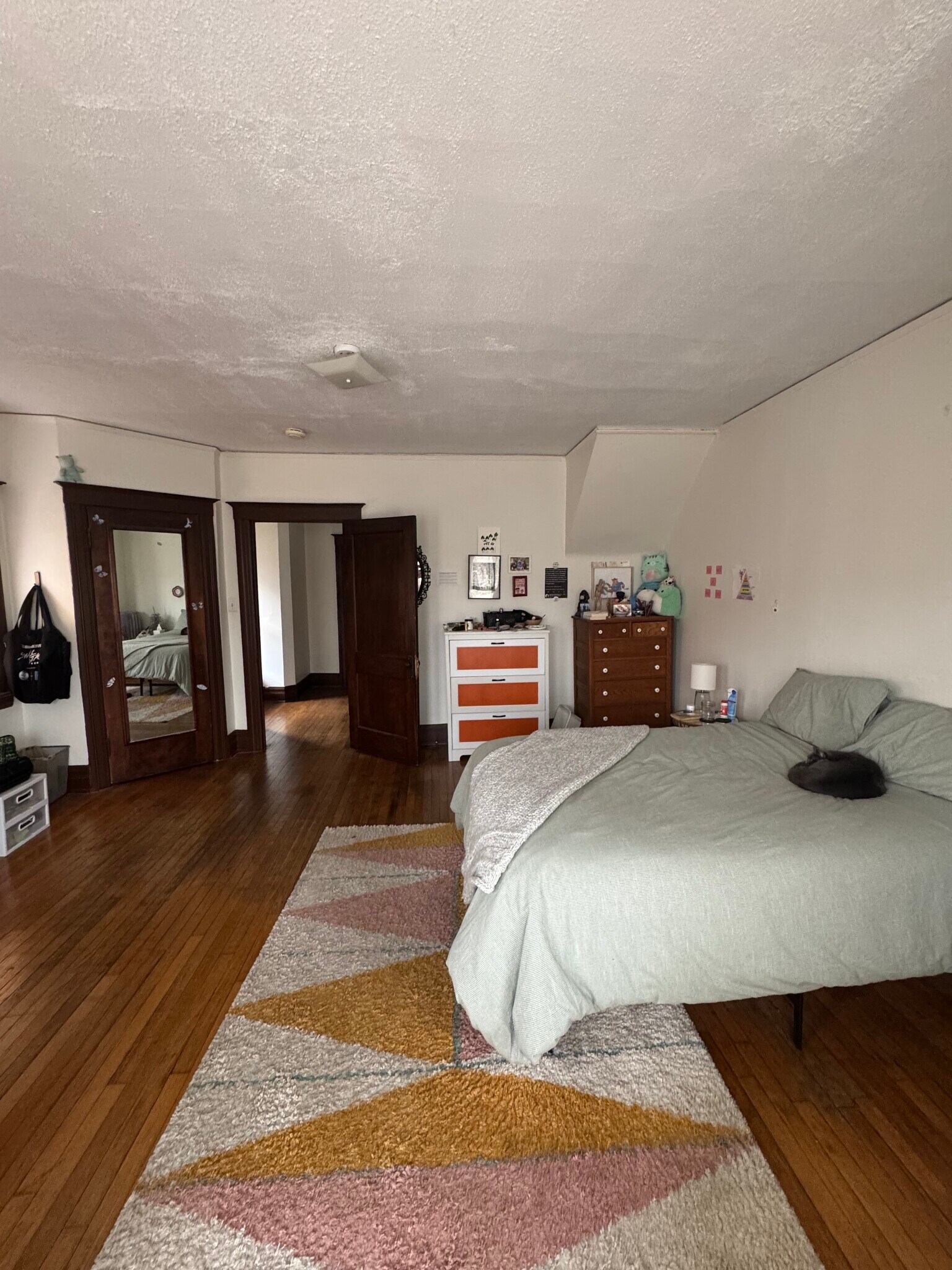 Building Photo - 4431 Commonwealth St