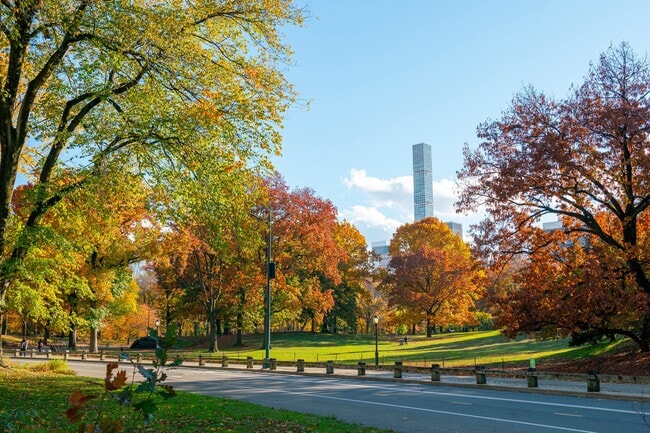 Building Photo - 1255 5th Ave