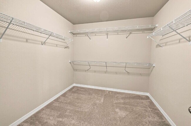 Building Photo - Beautiful 2025-Built 5 Bedroom Home with Finished Walk-Out Basement