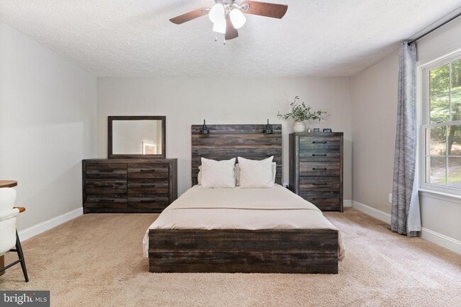 Building Photo - 12418 Red Rock Ct