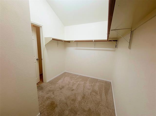 Building Photo - 5601 Piedra Dr