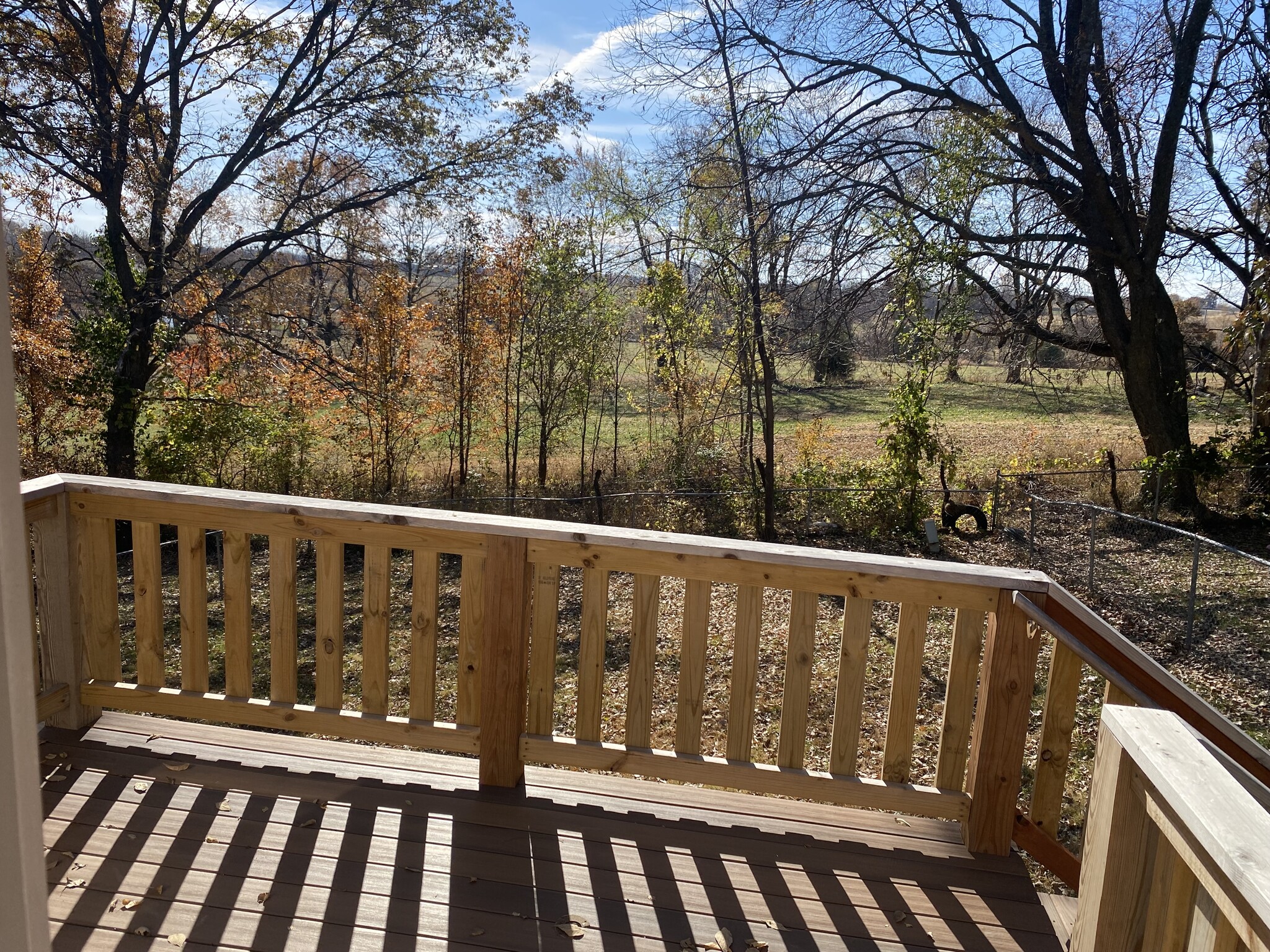 Backyard - 315 Lakeland Dr