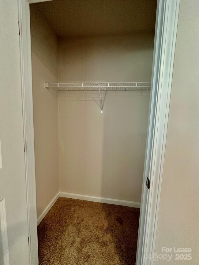 Building Photo - 1605 Blue Velvet Ln