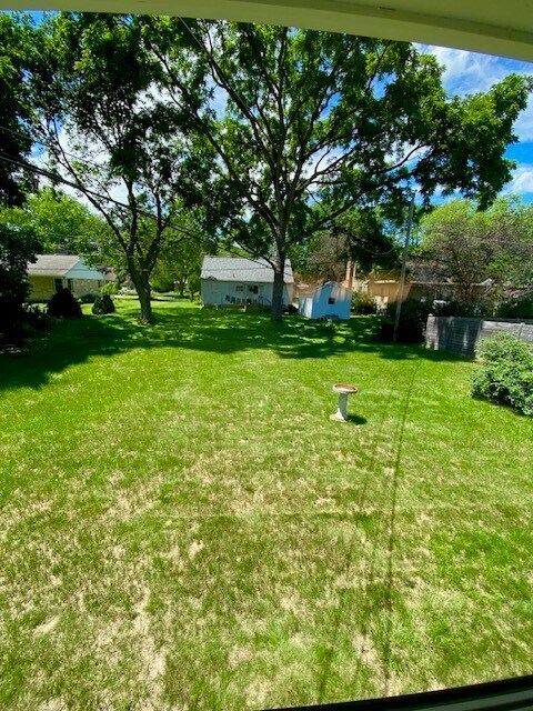Backyard facing away from the house - 310 Eugenia Ave