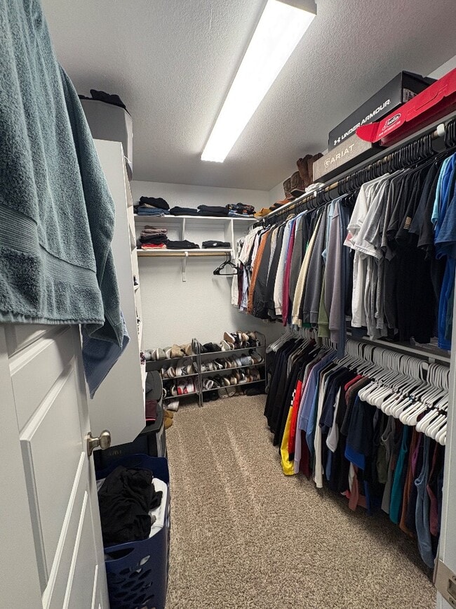 Building Photo - 10006 Cauthon Cv