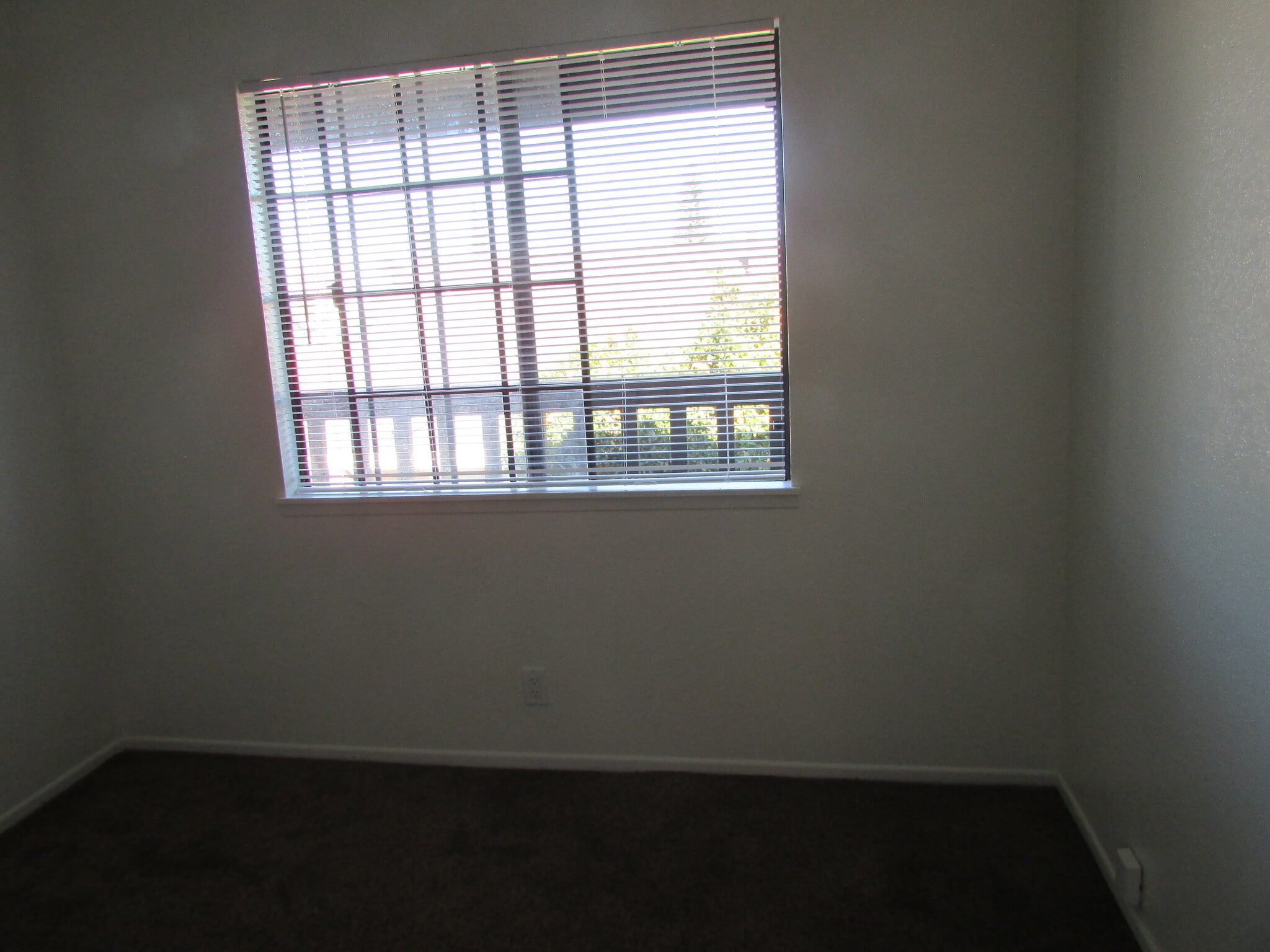 Building Photo - 5271 Bishop St