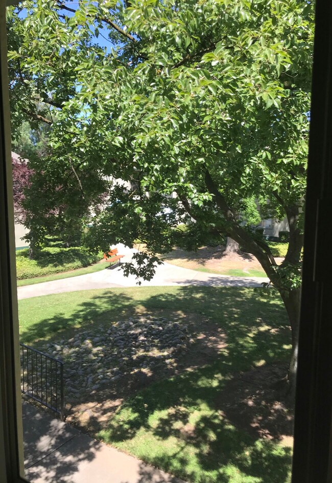 1225 Morse Ave 1225 Morse Ave Sacramento CA 95864 Apartment Finder