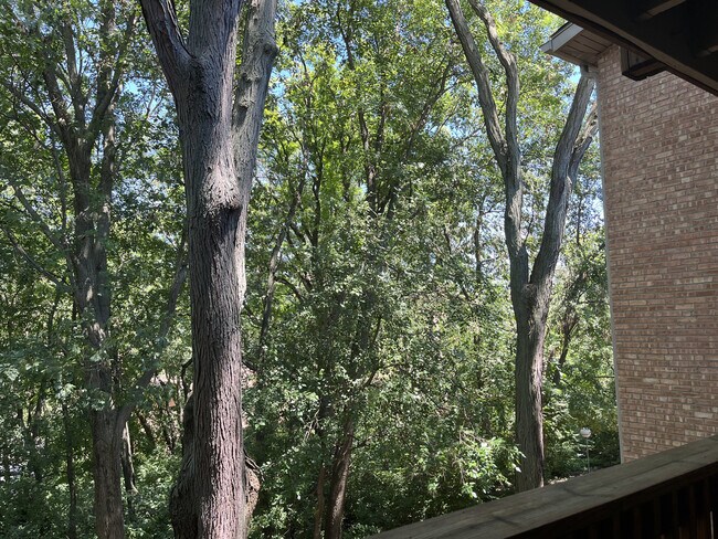 Building Photo - 5817 Oakwood Dr