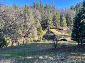 Building Photo - 10653 Douglas Ln