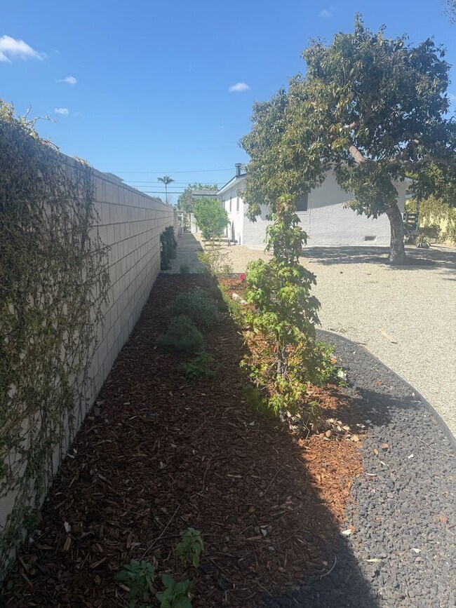 Building Photo - Cute Home Calling