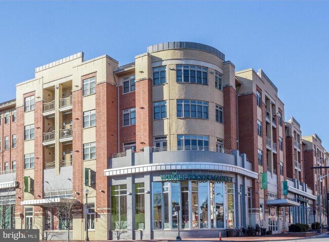 Building Photo - 309 Holland Ln