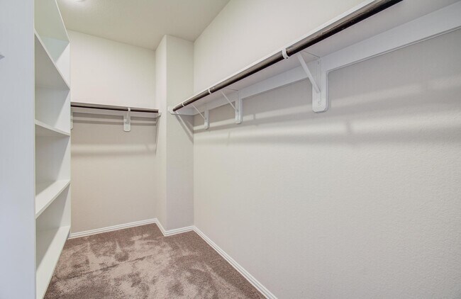 Building Photo - 19743 Shinnery Ridge Ct