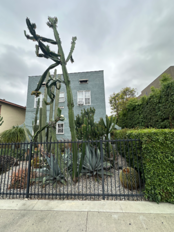 Building Photo - 927 1/2 Parkman Ave