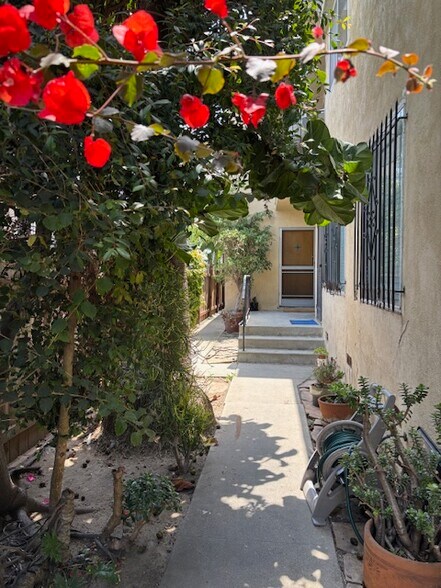 walkway at street level - 110 Brooks Ave