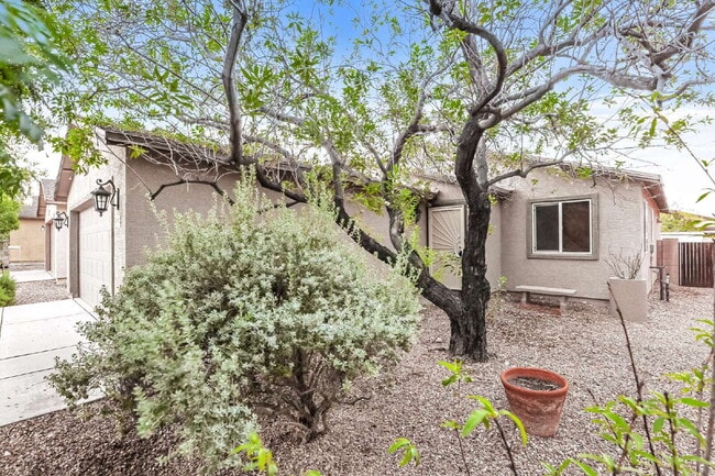 Building Photo - 5082 E Kittentails Dr